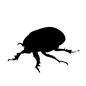 カブトムシ ムシ,むし,虫,昆虫,生き物,生物,1匹,成虫,カブトムシ,甲虫のシルエット素材