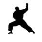 空手 空手 型,人物,人,武道,格闘技,技,空手,空手道,格闘,戦いのシルエット素材