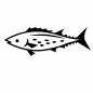 斑点のある魚 斑点のある魚 サワラ,魚,海,斑点,生き物,漁業,1匹,魚類,水産物,水族館のシルエット素材