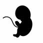 胎児 胎児,へその緒,立つ,生命,成長,発達,妊娠,人物,子ども,1人のシルエット素材