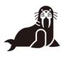 セイウチ セイウチ セイウチ,起き上がる,牙,振り向く,キバ,動物,水族館,海の生き物,こちらを向く,横になるのシルエット素材