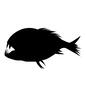 ピラニア ピラニア ピラニア,横向き,魚,水中生物,生き物,生物,泳ぐのシルエット素材