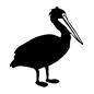 ペリカン ペリカン 動物,生物,生き物,ペリカン,長いくちばし,ペリカン科,横向き,イラスト,シルエット,全身のシルエット素材