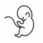 胎児　白抜き 胎児,白抜き,へその緒,丸枠,立つ,生命,成長,発達,妊娠,人物のシルエット素材