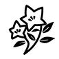 キキョウ キキョウ キキョウ,桔梗,ききょう,花,和風,和風柄,和柄文様,伝統和柄,日本風,和風テイストのシルエット素材