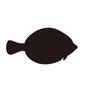 カレイ カレイ カレイ,平たい,右向き,横向き,1匹,サカナ,さかな,魚,フィッシュ,魚類のシルエット素材