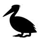 ペリカン ペリカン ペリカン,鳥,野鳥,横向き,歩く,嘴,くちばし,側面,とり,野生のシルエット素材