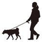 犬の散歩をする女性 人物,動物,犬,女性,飼い主,ペット,生き物,中型犬,全身,横向きのシルエット素材