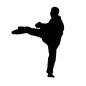 空手 空手 少林寺,型,キック,蹴り上げる,人物,人,武道,格闘技,技,空手のシルエット素材