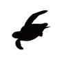 ウミガメ ウミガメ カメ,亀,かめ,霊獣,爬虫類,ウミガメ,クラッシュ,タイマイ,アカウミガメ,アオウミガメのシルエット素材