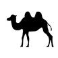 ラクダ ラクダ 動物,生き物,生物,アニマル,歩く,フタコブラクダ,砂漠,コブ,らくだ,ラクダのシルエット素材