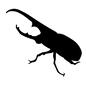 カブトムシ カブトムシ 虫,昆虫,生き物,生物,カブトムシ,かぶとむし,かぶと虫,雄,オス,1匹のシルエット素材