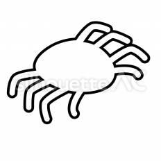 蜘蛛　白抜き 蜘蛛,八本足,1匹のシルエット素材