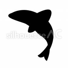 イルカ イルカ,海,水族館のシルエット素材