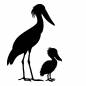 ハシビロコウの親子 ハシビロコウの親子 ハシビロコウ,鳥,動物,親子,生き物,かわいい,ファミリー,スキンシップ,親子愛,動物園のシルエット素材