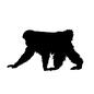 猿 猿 全身,横向き,歩く,動物,猿,さる,サル,日本猿,ニホンザル,野生動物のシルエット素材