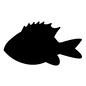 魚 魚 魚,生物,水中生物,生き物,全体,横向き,1匹,水族館,展示のシルエット素材