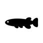 魚 魚 魚,さかな,サカナ,横向き,生物,生き物,海の生き物のシルエット素材
