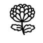 菊 菊 菊,キク,きく,花,仏壇,墓,お墓,墓地,墓場,墓所のシルエット素材