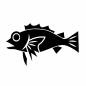金目鯛 金目鯛 金目鯛,魚,生き物,魚類,海,水産物,魚介類,水中,漁業,食材のシルエット素材