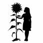 ヒマワリを見る女の子 女の子,ヒマワリ,花,見る,植物,夏休み,休日,子供,半袖,ロングヘアのシルエット素材