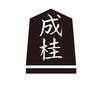 駒 駒,将棋の駒,5角形,木片,文字,用具,将棋駒,立体,成佳,漢字のシルエット素材