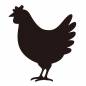 ニワトリ ニワトリ,飼育,鳥,イースター,復活祭,動物,1匹,かわいい,4月,3月のシルエット素材