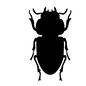 クワガタ 虫,昆虫,生き物,生物,クワガタ,くわがた,メス,雌,1匹,成虫のシルエット素材