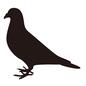 ハト ハト ハト,鳩,はと,伝書鳩,カワラバト,ドバト,害鳥,脊索動物,全身,1羽のシルエット素材
