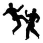 武術 武術 武道,2人,スポーツ,試合,競技,選手,アスリート,空手,人物,人のシルエット素材