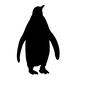 ペンギン ペンギン 動物,生き物,生物,自然,シルエット,イラスト,野生,ぺんぎん,ペンギン,全身のシルエット素材