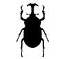 カブトムシ カブトムシ 虫,昆虫,生き物,生物,カブトムシ,かぶとむし,かぶと虫,角,雄,オスのシルエット素材