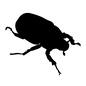 クワガタ 虫,昆虫,生き物,生物,クワガタ,くわがた,メス,雌,1匹,成虫のシルエット素材