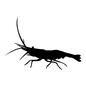 エビ エビ シルエット,イラスト,海老,生物,生き物,水中生物,えび,エビ,水生生物,全体のシルエット素材