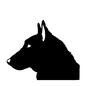 犬 犬 動物,生物,生き物,犬,イヌ,いぬ,横向き,横顔,凛々しい,見つめるのシルエット素材