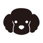 犬 犬 トイプードル,正面,顔,アップ,犬,いぬ,イヌ,ペット,動物,かわいいのシルエット素材
