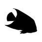 熱帯魚 熱帯魚 シルエット,イラスト,生物,生き物,水中生物,魚,熱帯魚,水生生物,全体,横向きのシルエット素材