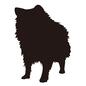 犬 犬 犬,ポメラニアン,いぬ,イヌ,1匹,室内犬,小型犬,止まる,ふさふさ,ふわふわのシルエット素材