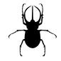 カブトムシ 虫,昆虫,生き物,生物,カブトムシ,かぶとむし,かぶと虫,雄,オス,コーカサスオオカブトのシルエット素材