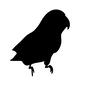 オウム オウム 動物,生き物,生物,自然,シルエット,イラスト,全身,鳥類,鳥,野生のシルエット素材