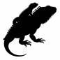 イグアナの親子 イグアナの親子 イグアナ,背中に乗る,動物,親子,生き物,かわいい,ファミリー,スキンシップ,親子愛,動物園のシルエット素材