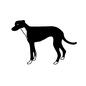 イタリアングレーハウンド イタリアングレーハウンド 犬,いぬ,イヌ,動物,生き物,ペット,家族,可愛い,癒し,イラストのシルエット素材