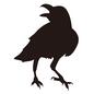 カラス カラス カラス,烏,からす,鳴く,カーカー,害鳥,脊索動物,飛ぶ,ゴミ捨て場,1羽のシルエット素材