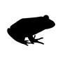 カエル カエル 動物,生き物,生物,ミドリガエル,両生類,かえる,カエル,蛙,アマガエルのシルエット素材