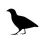 鳩 鳩 動物,生き物,生物,鳥,鳥類,はと,ハト,鳩,野鳥のシルエット素材