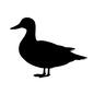 あひる あひる あひる,鴨,生物,生き物,動物,アニマル,カモ,野鳥,鳥,鳥類のシルエット素材