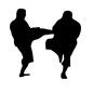 空手の試合 空手の試合 型,キック,蹴り上げる,組手,試合,勝負,2人,人物,人,武道のシルエット素材