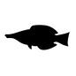 魚 魚,生き物,生物,イラスト,ヒレ,ひれ,エラ,えら,魚類,水生生物のシルエット素材