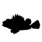 カサゴ カサゴ カサゴ,横向き,魚,水中生物,生き物,生物,全体,海の生き物のシルエット素材