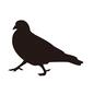 ハト ハト ハト,鳩,はと,伝書鳩,カワラバト,ドバト,害鳥,脊索動物,全身,1羽のシルエット素材